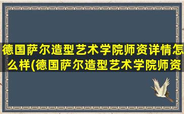 德国萨尔造型艺术学院师资详情怎么样(德国萨尔造型艺术学院师资详情如何)