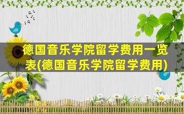 德国音乐学院留学费用一览表(德国音乐学院留学费用)