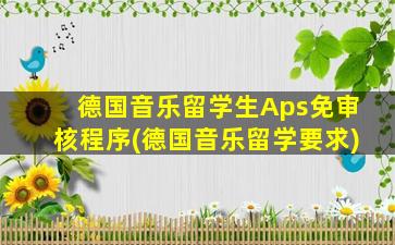 德国音乐留学生Aps免审核程序(德国音乐留学要求)