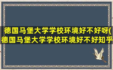 德国马堡大学学校环境好不好呀(德国马堡大学学校环境好不好知乎)