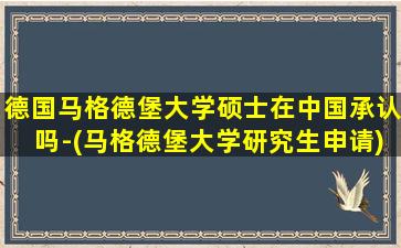 德国马格德堡大学硕士在中国承认吗-(马格德堡大学研究生申请)