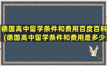 德国高中留学条件和费用百度百科(德国高中留学条件和费用是多少啊)