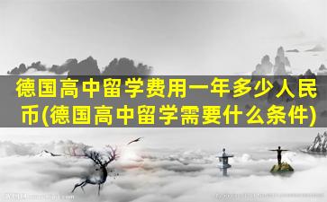 德国高中留学费用一年多少人民币(德国高中留学需要什么条件)