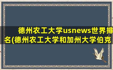 德州农工大学usnews世界排名(德州农工大学和加州大学伯克利分校)