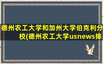 德州农工大学和加州大学伯克利分校(德州农工大学usnews排名)