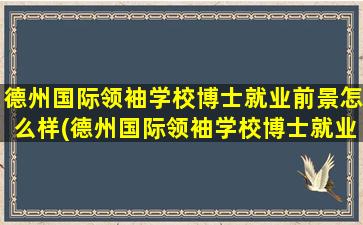 德州国际领袖学校博士就业前景怎么样(德州国际领袖学校博士就业前景)