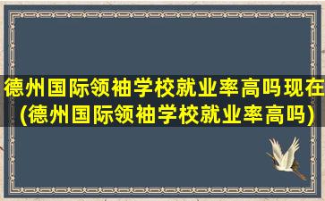 德州国际领袖学校就业率高吗现在(德州国际领袖学校就业率高吗)