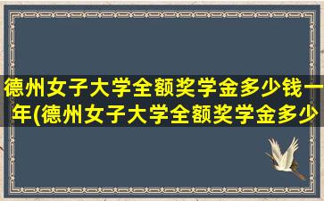 德州女子大学全额奖学金多少钱一年(德州女子大学全额奖学金多少钱啊)