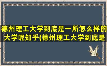 德州理工大学到底是一所怎么样的大学呢知乎(德州理工大学到底是一所怎么样的大学呢英语)