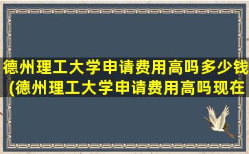 德州理工大学申请费用高吗多少钱(德州理工大学申请费用高吗现在)