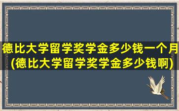 德比大学留学奖学金多少钱一个月(德比大学留学奖学金多少钱啊)