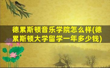 德累斯顿音乐学院怎么样(德累斯顿大学留学一年多少钱)