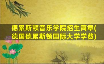 德累斯顿音乐学院招生简章(德国德累斯顿国际大学学费)