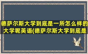 德萨尔斯大学到底是一所怎么样的大学呢英语(德萨尔斯大学到底是一所怎么样的大学呢英文)