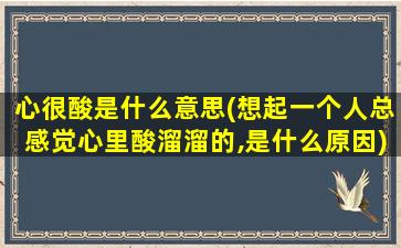 心很酸是什么意思(想起一个人总感觉心里酸溜溜的,是什么原因)