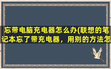 忘带电脑充电器怎么办(联想的笔记本忘了带充电器，用别的方法怎么充电)