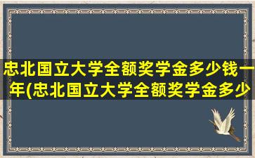 忠北国立大学全额奖学金多少钱一年(忠北国立大学全额奖学金多少钱啊)