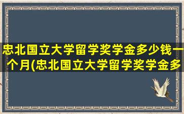 忠北国立大学留学奖学金多少钱一个月(忠北国立大学留学奖学金多少钱啊)