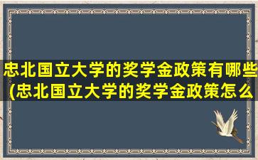 忠北国立大学的奖学金政策有哪些(忠北国立大学的奖学金政策怎么样)