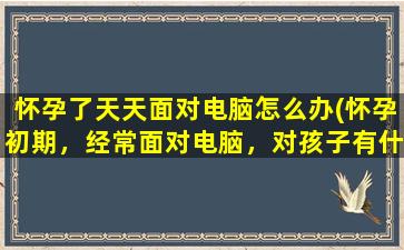 怀孕了天天面对电脑怎么办(怀孕初期，经常面对电脑，对孩子有什么影响)