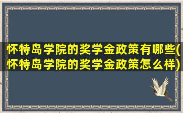 怀特岛学院的奖学金政策有哪些(怀特岛学院的奖学金政策怎么样)