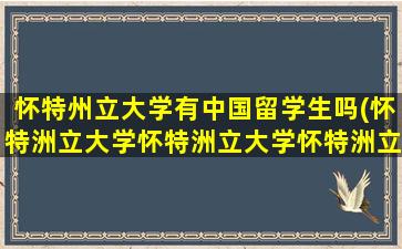 怀特州立大学有中国留学生吗(怀特洲立大学怀特洲立大学怀特洲立大学)