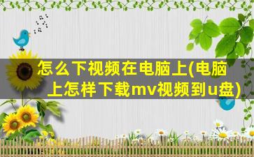 怎么下视频在电脑上(电脑上怎样下载mv视频到u盘)