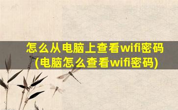 怎么从电脑上查看wifi密码(电脑怎么查看wifi密码)