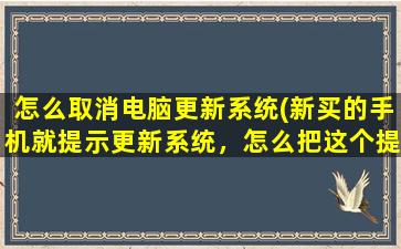 怎么取消电脑更新系统(新买的手机就提示更新系统，怎么把这个提示关闭了)