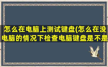 怎么在电脑上测试键盘(怎么在没电脑的情况下检查电脑键盘是不是好的)