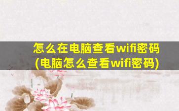 怎么在电脑查看wifi密码(电脑怎么查看wifi密码)