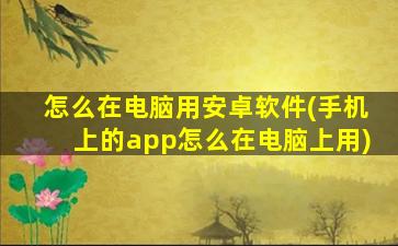 怎么在电脑用安卓软件(手机上的app怎么在电脑上用)