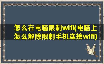 怎么在电脑限制wifi(电脑上怎么解除限制手机连接wifi)