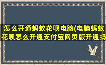 怎么开通蚂蚁花呗电脑(电脑蚂蚁花呗怎么开通支付宝网页版开通蚂蚁花呗教程)