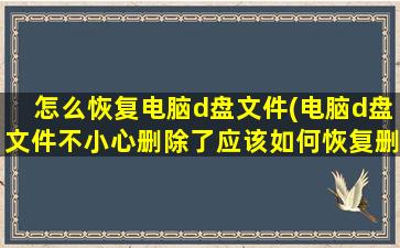 怎么恢复电脑d盘文件(电脑d盘文件不小心删除了应该如何恢复删除的文件)