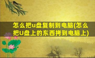 怎么把u盘复制到电脑(怎么把U盘上的东西拷到电脑上)