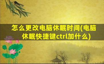 怎么更改电脑休眠时间(电脑休眠快捷键ctrl加什么)