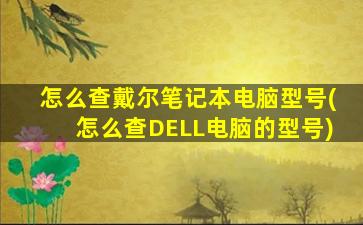 怎么查戴尔笔记本电脑型号(怎么查DELL电脑的型号)