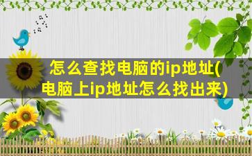 怎么查找电脑的ip地址(电脑上ip地址怎么找出来)