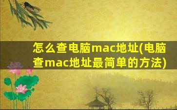 怎么查电脑mac地址(电脑查mac地址最简单的方法)