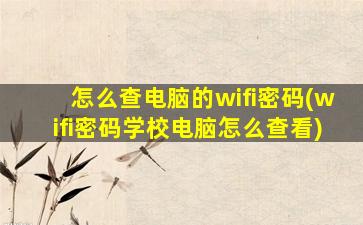 怎么查电脑的wifi密码(wifi密码学校电脑怎么查看)