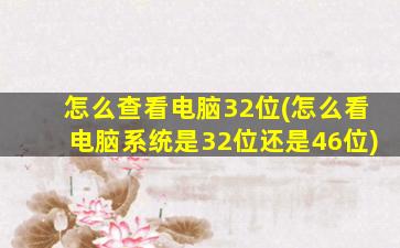 怎么查看电脑32位(怎么看电脑系统是32位还是46位)