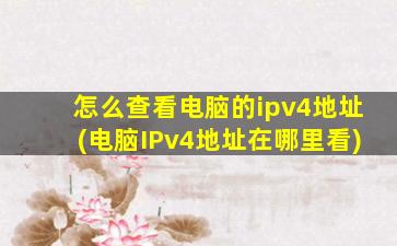 怎么查看电脑的ipv4地址(电脑IPv4地址在哪里看)