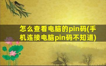 怎么查看电脑的pin码(手机连接电脑pin码不知道)