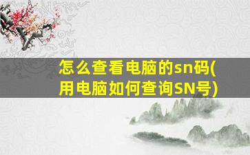 怎么查看电脑的sn码(用电脑如何查询SN号)