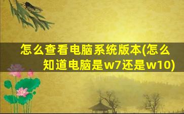 怎么查看电脑系统版本(怎么知道电脑是w7还是w10)