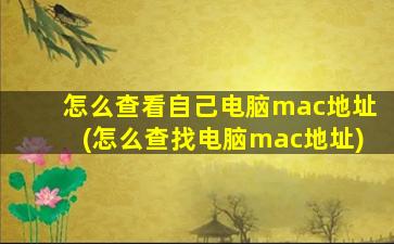 怎么查看自己电脑mac地址(怎么查找电脑mac地址)