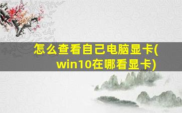 怎么查看自己电脑显卡(win10在哪看显卡)