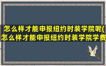 怎么样才能申报纽约时装学院呢(怎么样才能申报纽约时装学院学费)