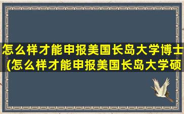 怎么样才能申报美国长岛大学博士(怎么样才能申报美国长岛大学硕士)